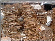 绿色循环，共创未来——金华资源回收公司引领再生资源回收新篇章