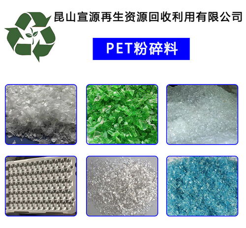 再生资源回收利用的实践与发展——以惠州宣源再生资源回收的PET粉碎料为例